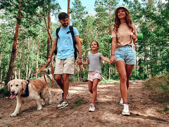 Lot de 10 Bracelets à la citronnelle anti-moustiques